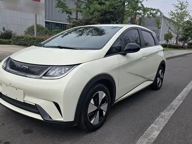 2023 BYD Dolphin