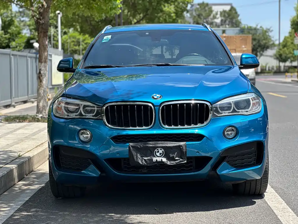 BMW X6 2019