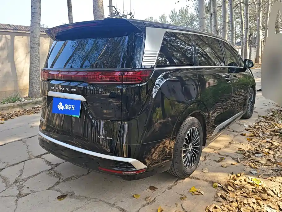 Denza Denza D9 — миниатюра 3