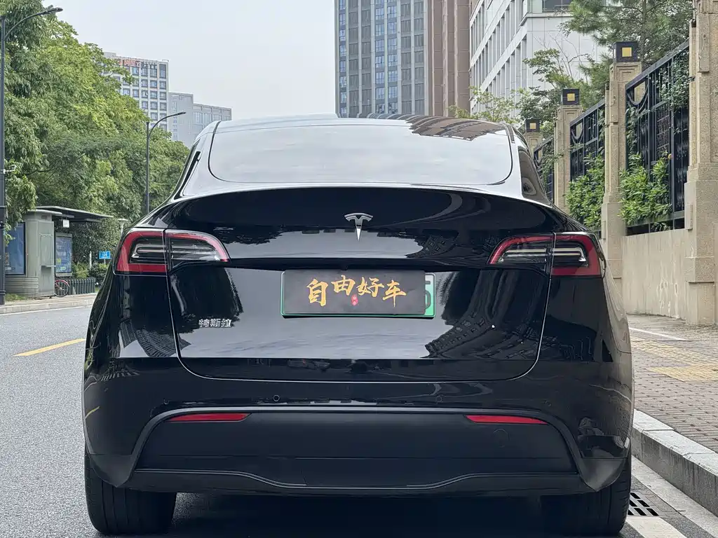 Tesla Model Y — миниатюра 20