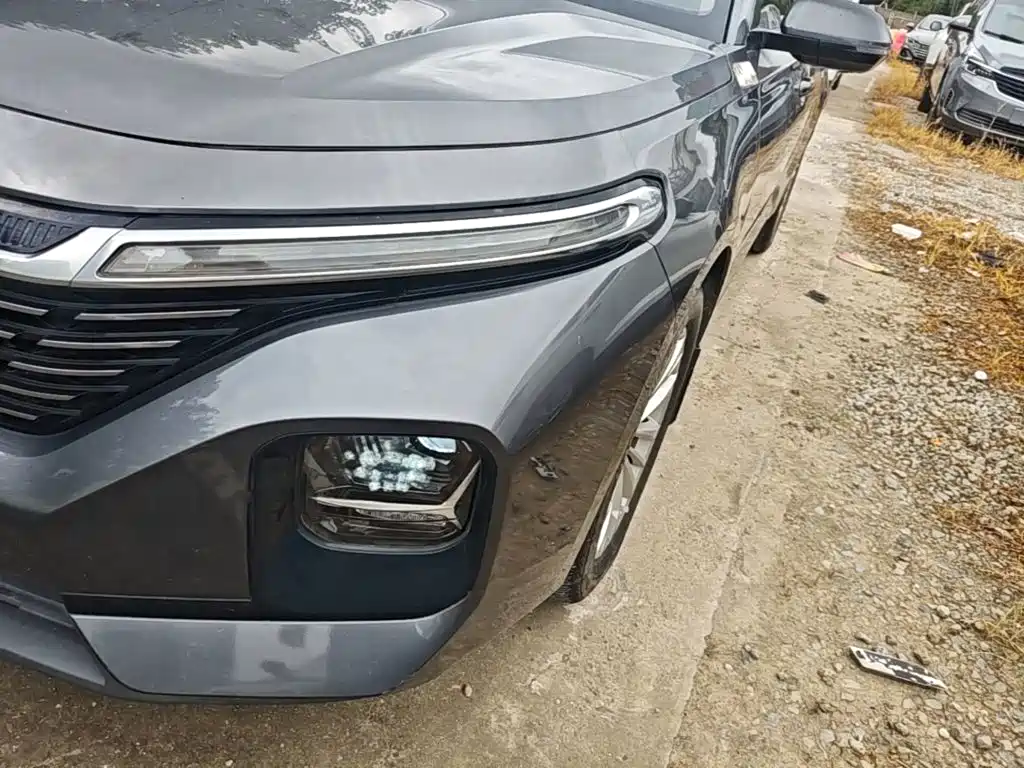 Baojun Valli — миниатюра 24