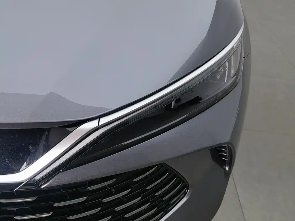 BYD Qin L L 2024 DM-i 80KM Lead