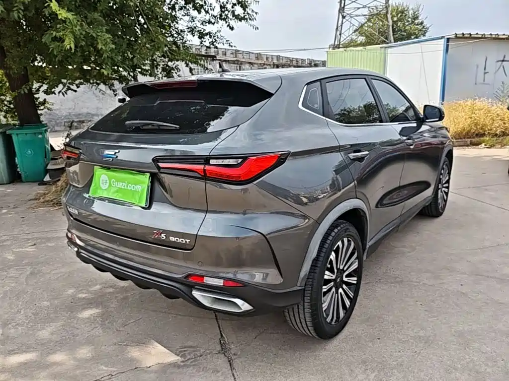 Oshan Oushang X5 — миниатюра 7