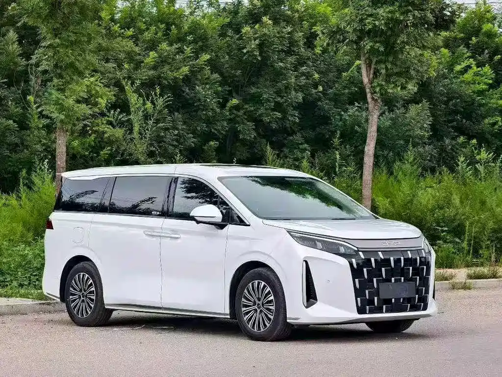 BYD M9 — миниатюра 3