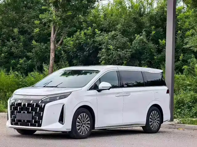 BYD M9