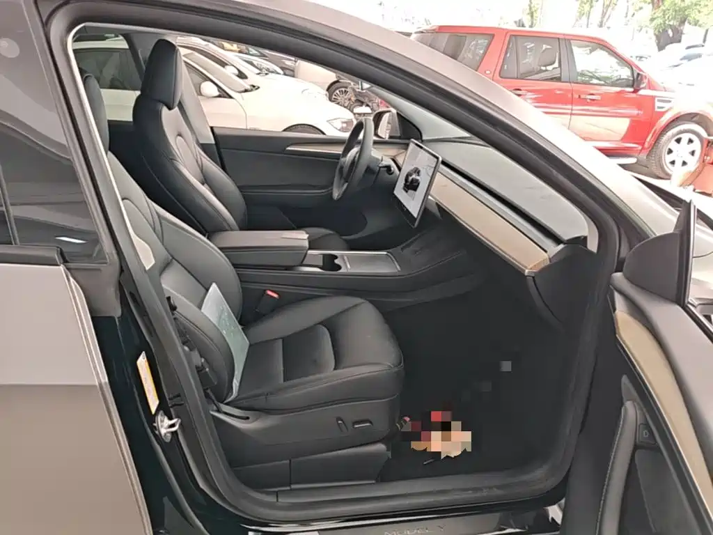 Tesla Model Y — миниатюра 9