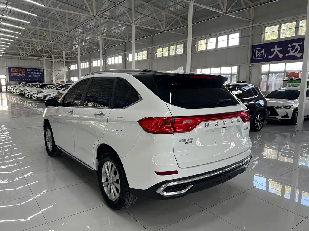 Haval M6 — миниатюра 7