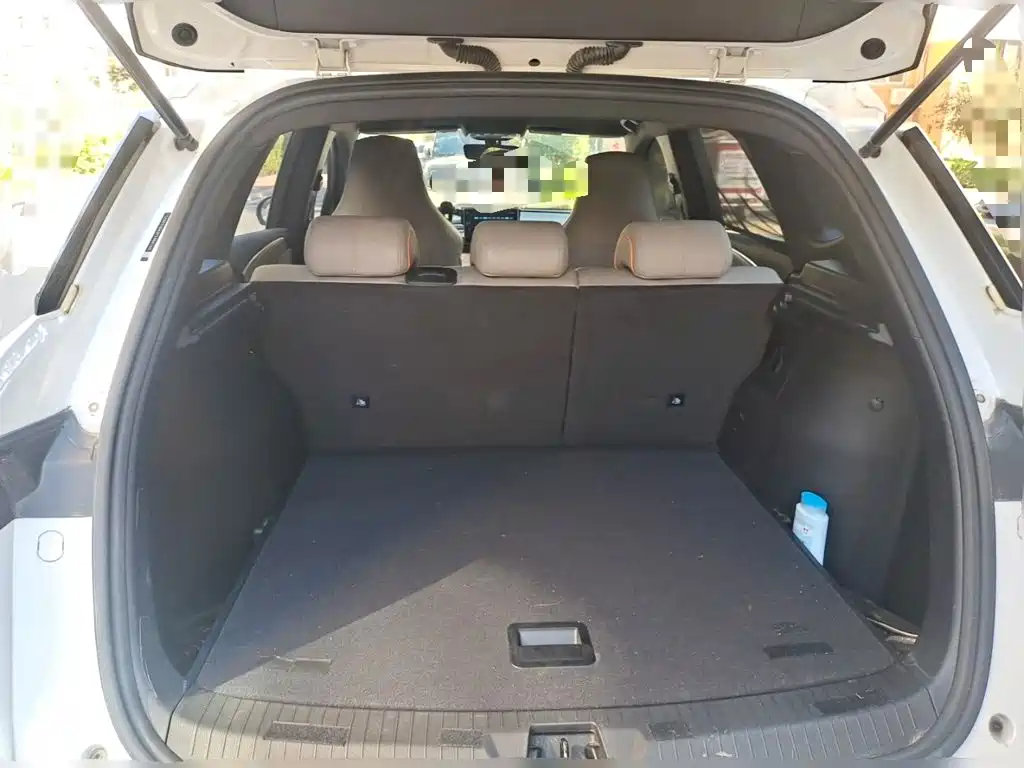 BYD Pro New Energy — миниатюра 10