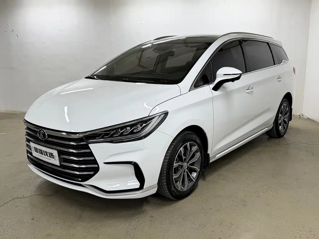 Byd MAX 2021