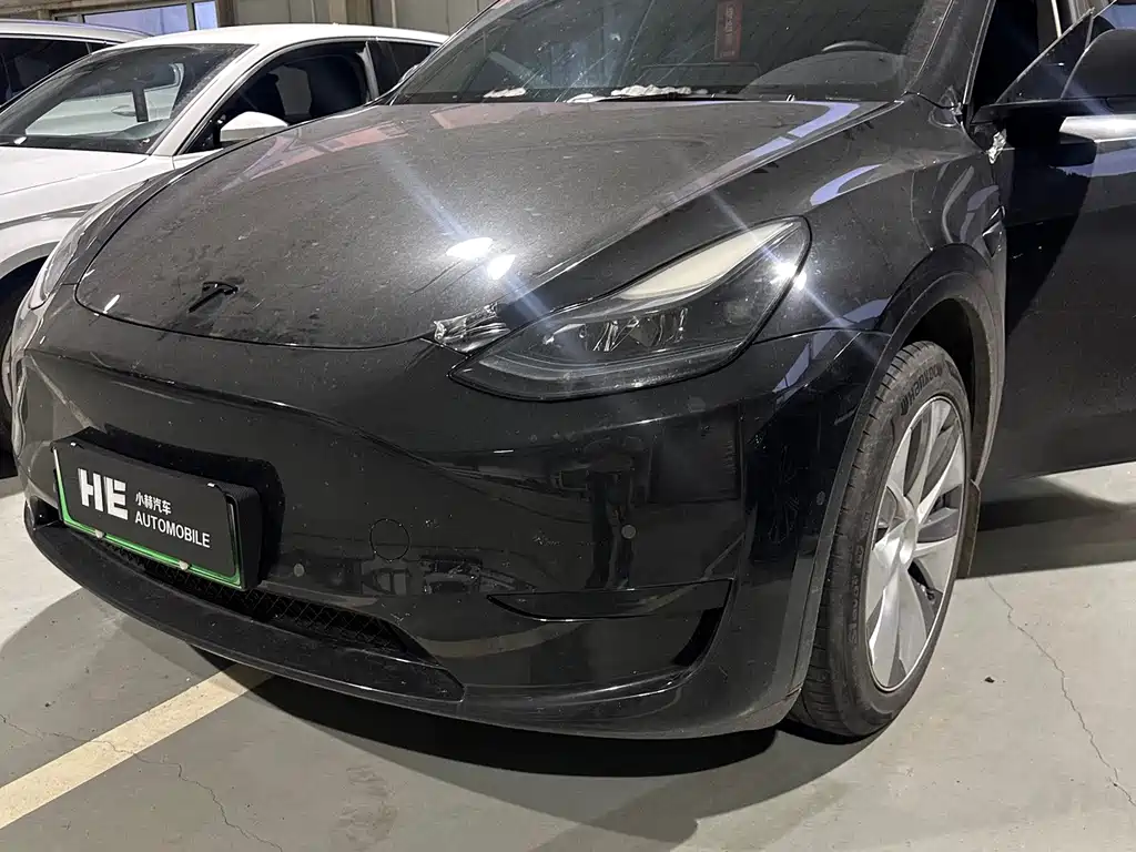 Tesla Model Y — миниатюра 2
