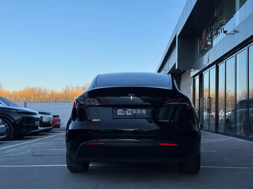 TESLA MODEL Y