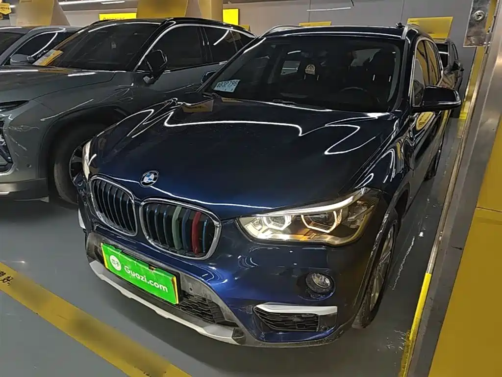 BMW X1 New Energy 2019