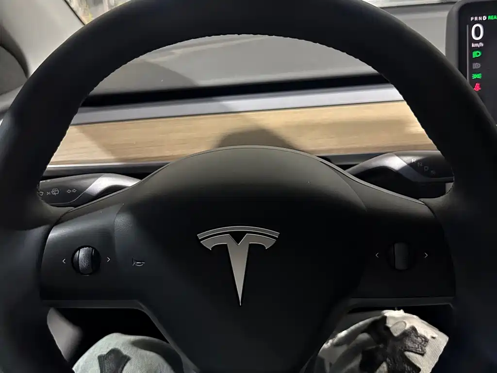 Tesla Model Y — миниатюра 18