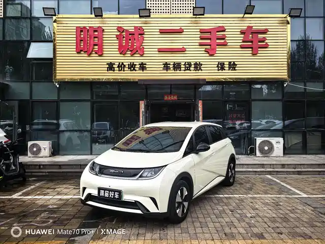 BYD Dolphin