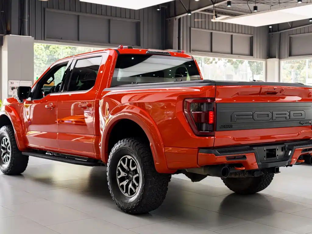 Ford F-150 Raptor — миниатюра 25