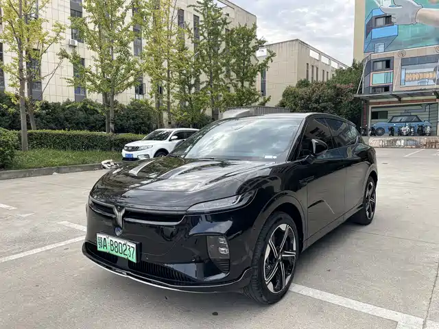 VOYAH zhiyin