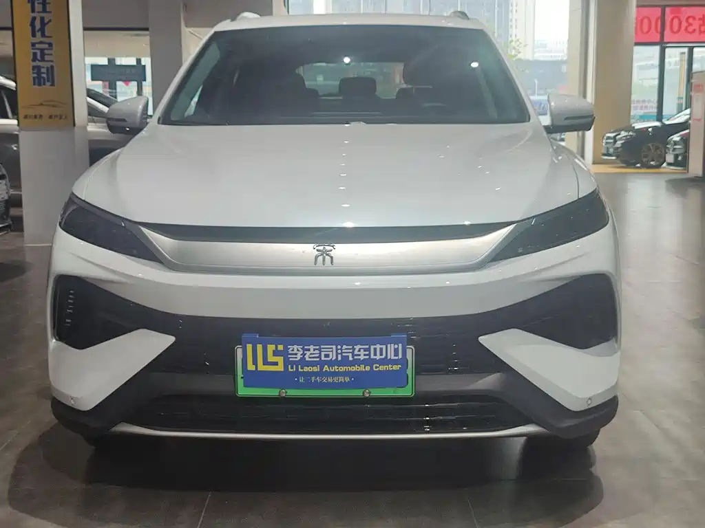 Byd Pro New Energy 2025