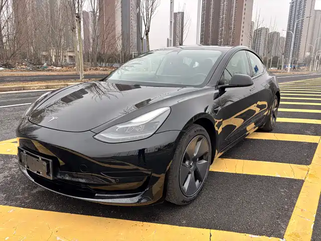 TESLA MODEL 3 2021