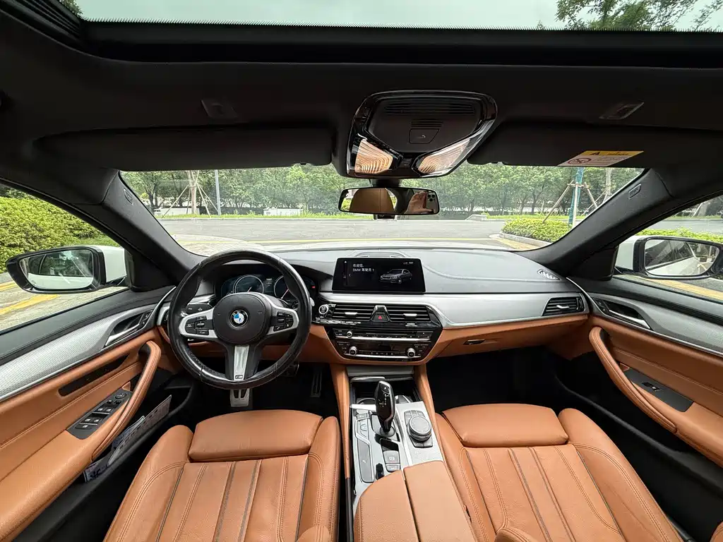BMW 5 Series (Import) — миниатюра 12