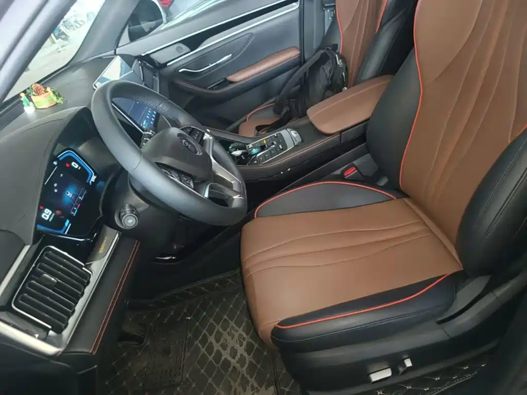 BYD PLUS — миниатюра 20