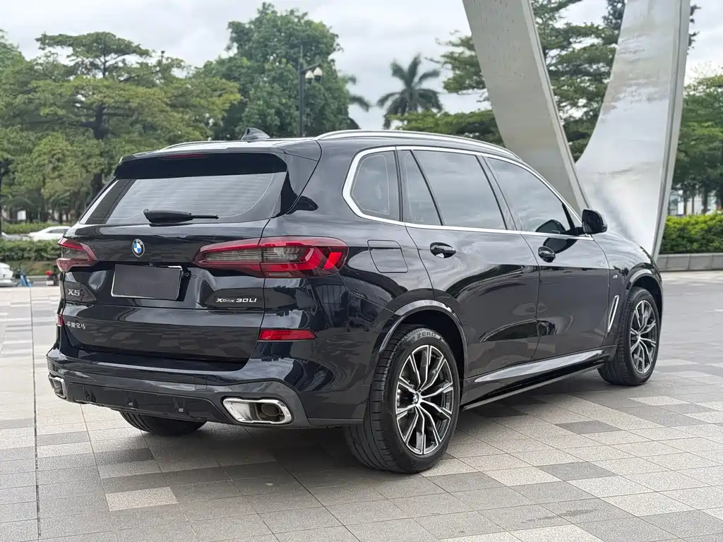 BMW X5 — миниатюра 4