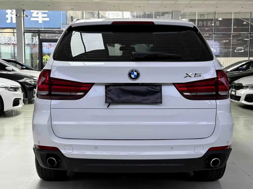 BMW X5 (Import) — миниатюра 5