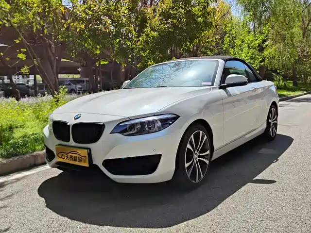 BMW 2 SERIES