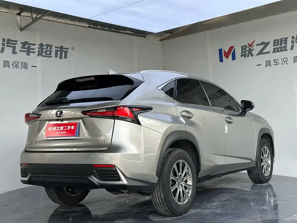 Lexus NX — миниатюра 4