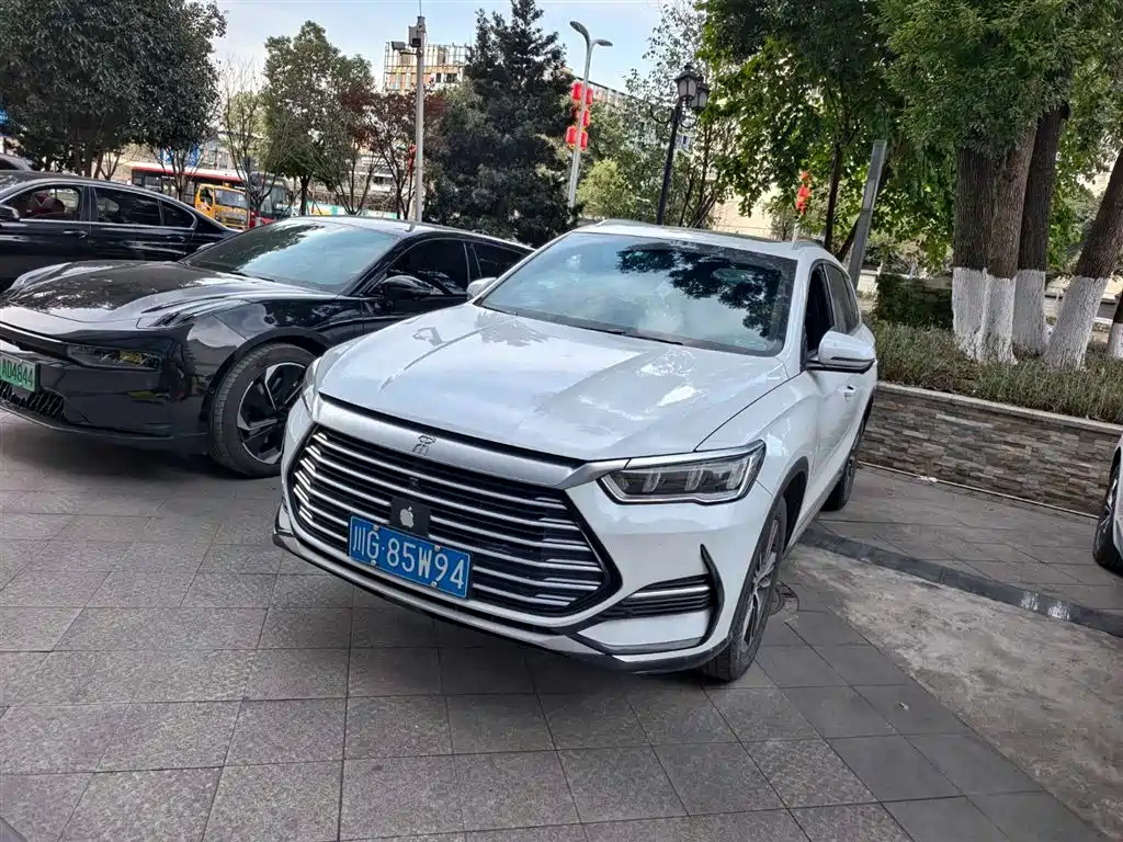 Byd Pro 2021