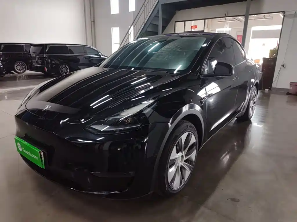 Tesla Model Y — миниатюра 2