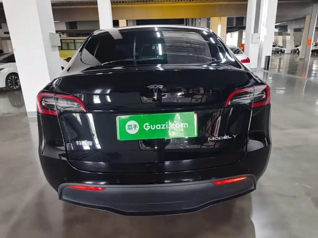 Tesla Model Y — миниатюра 6