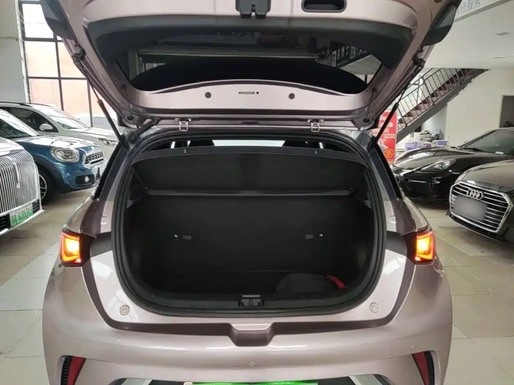 BYD Dolphin — миниатюра 19