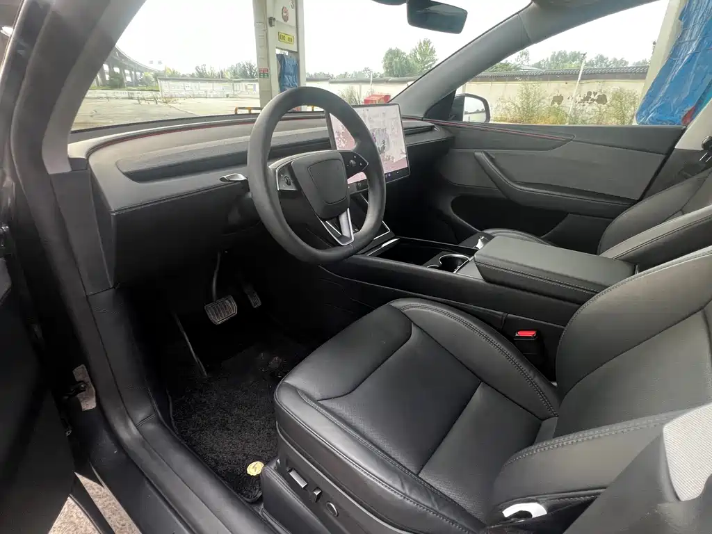 Tesla Model Y — миниатюра 9