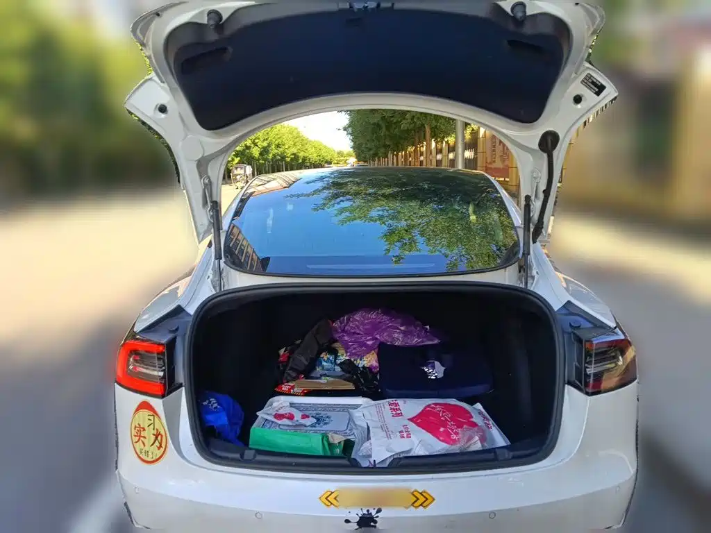 Tesla Model 3 — миниатюра 15