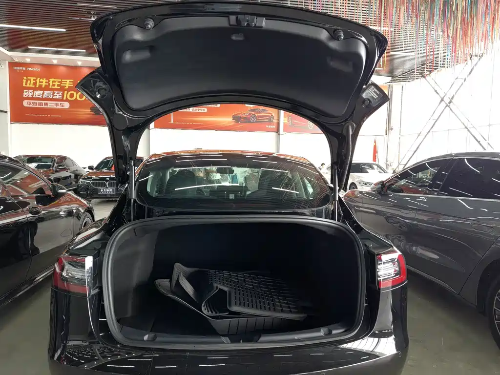 Tesla Model 3 — миниатюра 16