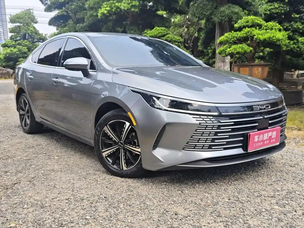 BYD Destroyer 05 — миниатюра 3