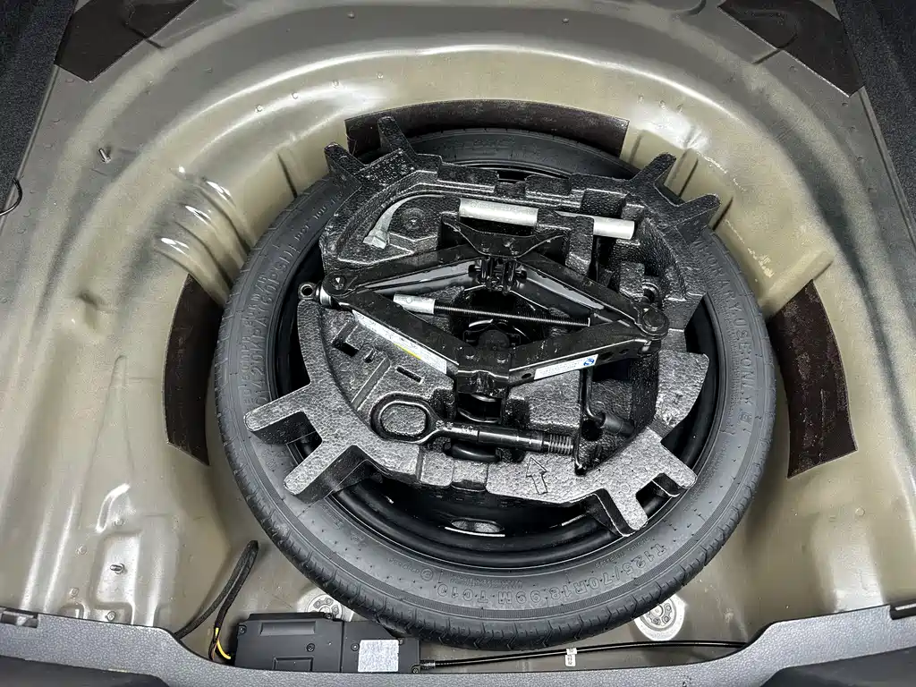 Volkswagen Magotan 2020 330TSI DSG Lead