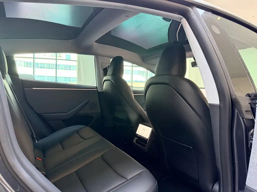 Tesla Model 3 — миниатюра 14