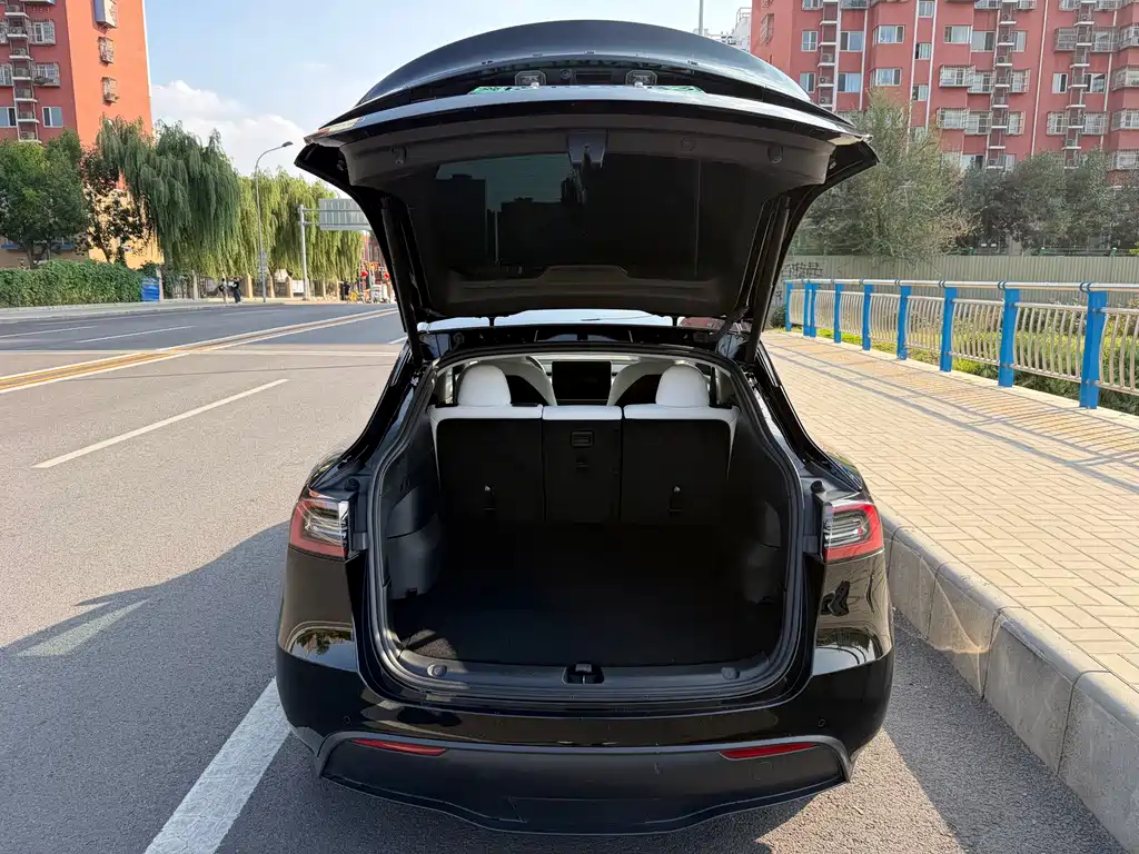 Tesla Model Y — миниатюра 14