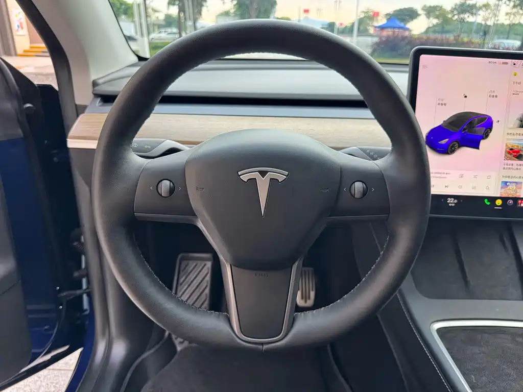 Tesla Model Y — миниатюра 6