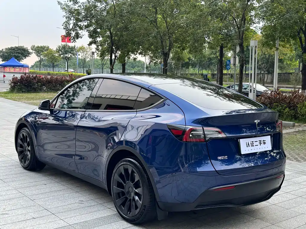 Tesla Model Y — миниатюра 10