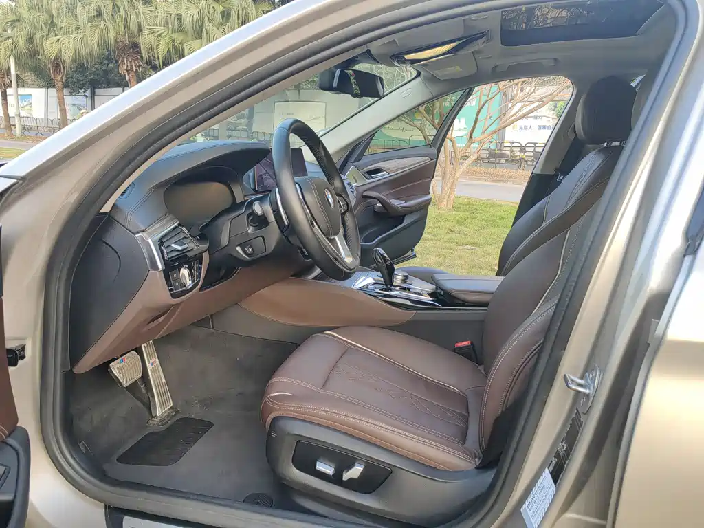 BMW 5 Series 5 2019 530Li Lead Luxury