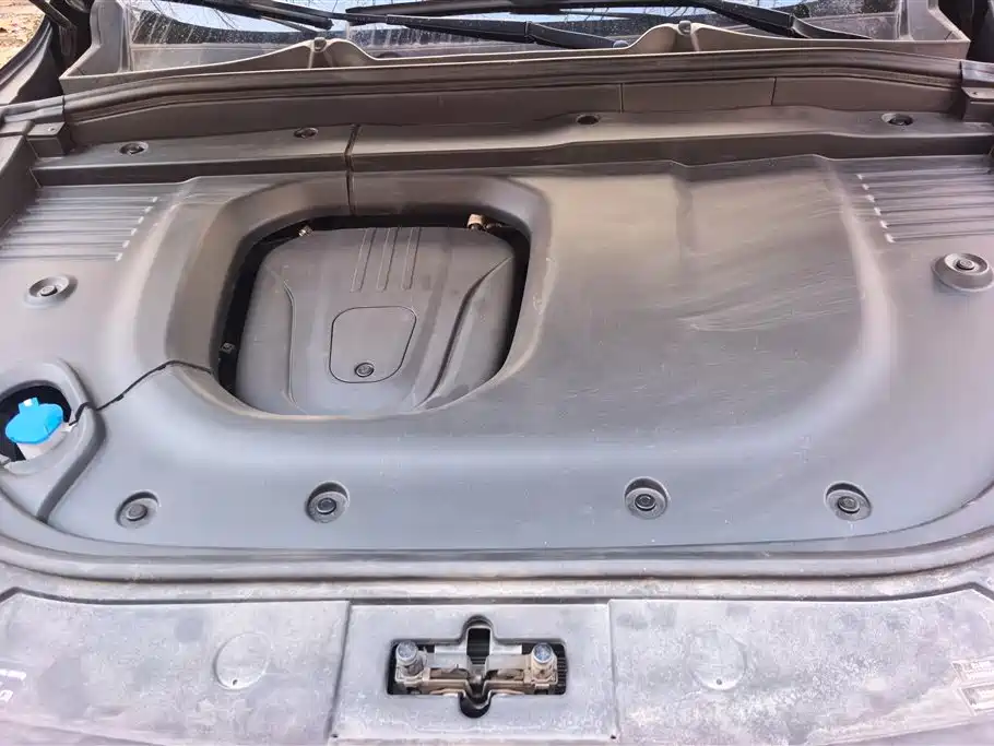 WEI PAI WEI BRAND BLUE MOUNTAIN