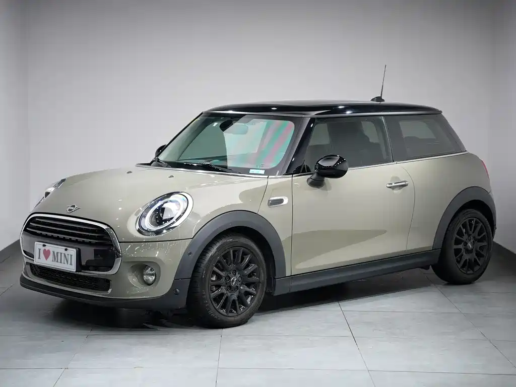 Mini Mini 2018