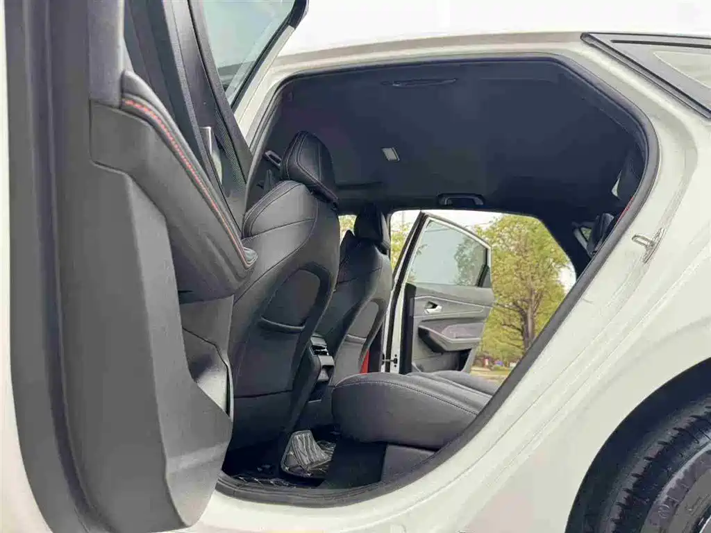 GEELY AUTOMOBILE BINRUI