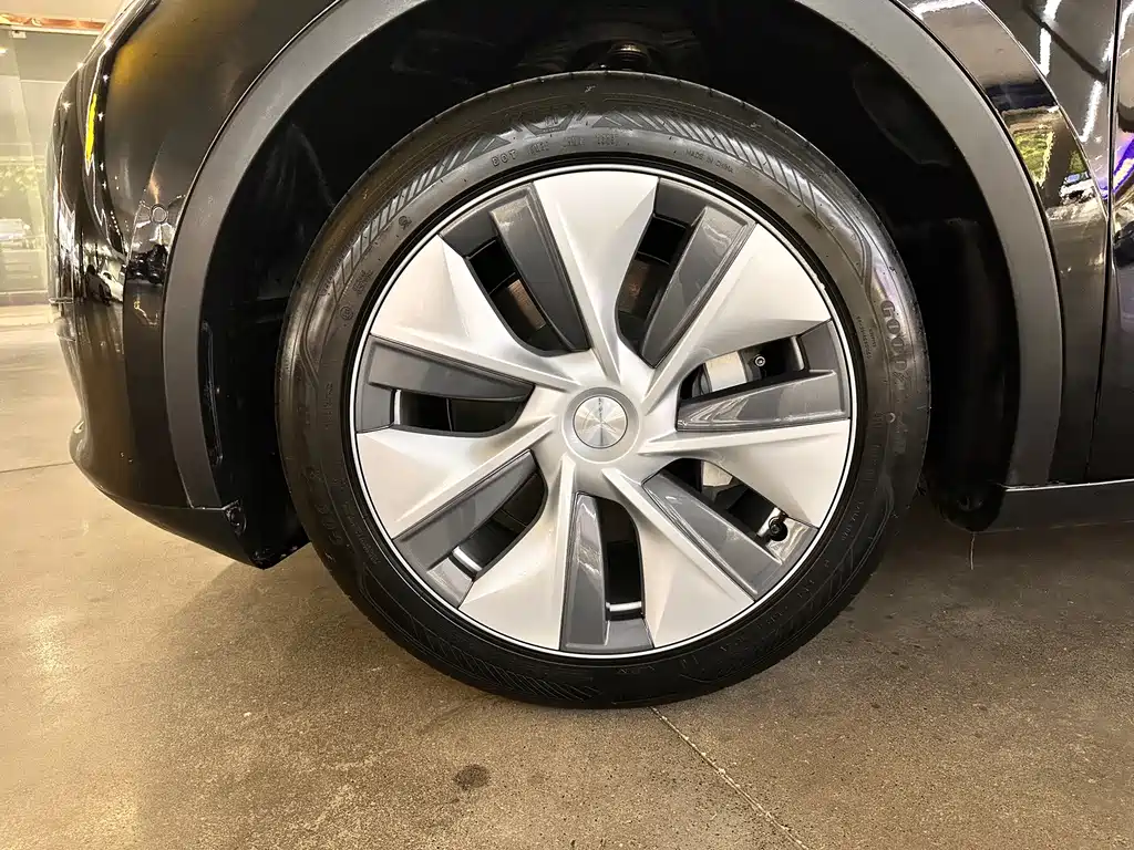 Tesla Model Y — миниатюра 5