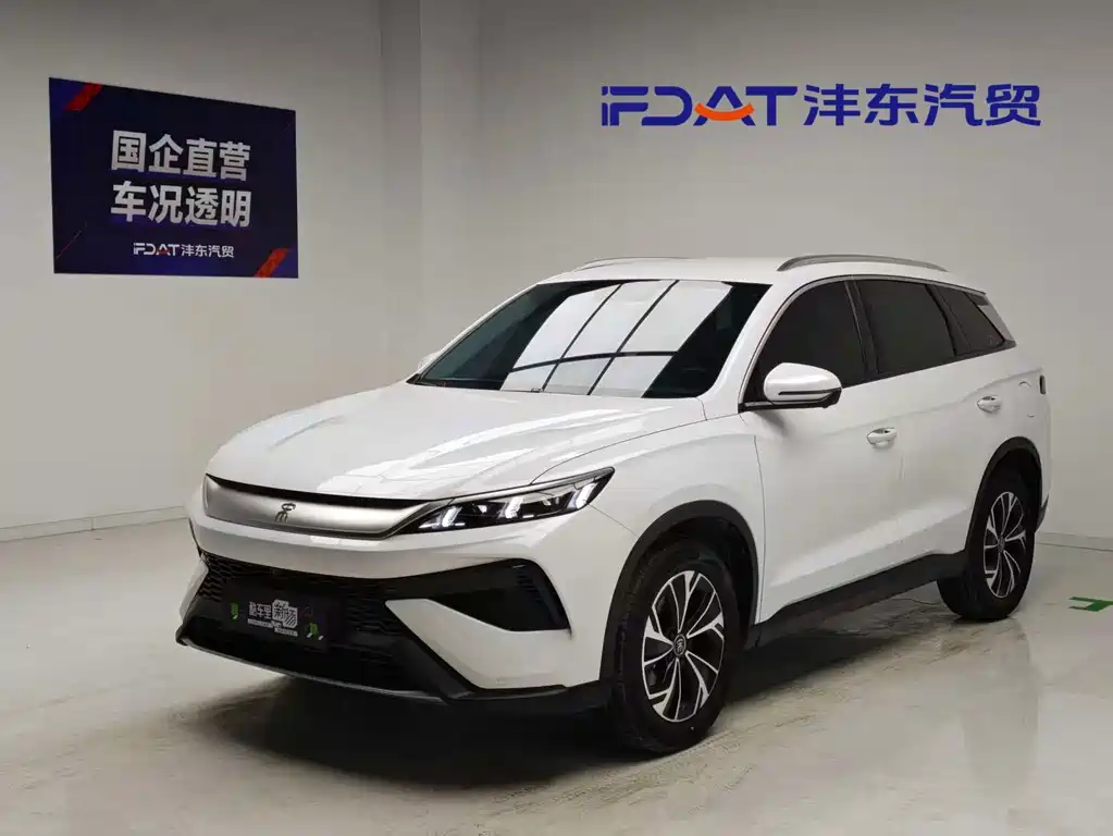 BYD Pro New Energy