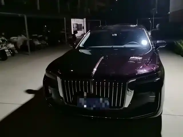 2022 Hongqi H9