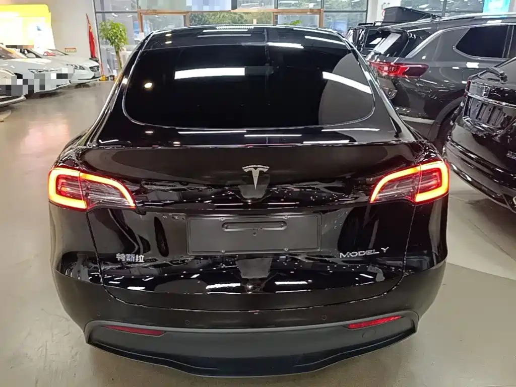 Tesla Model Y — миниатюра 6