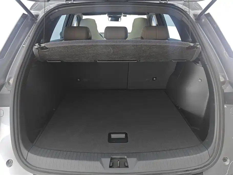 BYD SONGJIANG NEW ENERGY